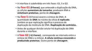 • A interfase é subdividida em três fases: G1, S e G2.
• Na fase G1 (9 horas), que antecede a duplicação do DNA,
as células aumentam de tamanho, produzem RNA e
sintetizam proteínas, ponto de checagem.
• Na fase S (10 horas) ocorre a síntese de DNA. A
quantidade de DNA no núcleo da célula é replicado.
Lembre-se que replicação significa o processo de
duplicação da molécula de DNA. Duplicação de centríolos.
• Antes de qualquer divisão celular há duplicação do DNA
durante a interfase.
• A fase G2 ( 4,5 horas) , corresponde ao intervalo entre a
síntese de DNA e a mitose. A célula continua crescendo e
produzindo proteínas. Outro ponto de checagem.
 