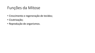 Funções da Mitose
• Crescimento e regeneração de tecidos;
• Cicatrização;
• Reprodução de organismos.
 