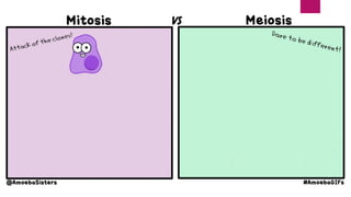 Divisão Celular: mitose, meiose, número de células