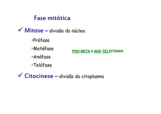 Fase mitótica
Mitose – divisão do núcleo
•Prófase
•Metáfase
•Anáfase
•Telófase
Citocinese – divisão do citoplasma
PRO META A ANA TELEFONAR
 