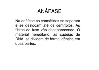 Início da Anáfase
 