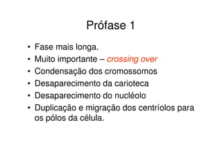 PRÓFASE I
• Leptóteno- Os cromossomos condensam-se e
tornam-se visíveis.
• Zigóteno- Os cromossomos homólogos juntam-se aos
pares.
• Paquíteno- Os cromossomos tornam-se mais curtos e
espessos, formando tétrades.(conjunto de quatro
cromátides homólogas-duas cromátides irmãs de cada
cromossomo homólogo.) CROSSING OVER
• Diplóteno- Os cromossomos homólogos iniciam a
separação, podem ser evidenciados as trocas de
pedaços entre os cromossomos QUIASMA.
• Diacinese- Os cromossomos migram para o equador
da célula.
 