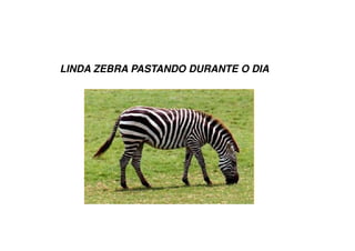 Crossing over
• Importância:
Aumento da variabilidade genética.
• Troca de sequências de DNA entre
cromossomos homólogos.
• Também chamado de recombinação ou
permutação gênica.
 