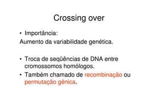 Quiasma
Cromossomos Homólogos
 