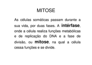 MITOSE
As células somáticas passam durante a
sua vida, por duas fases. A intérfase, e
a fase de divisão, ou mitose, na qual a
célula cessa funções e se divide.
 