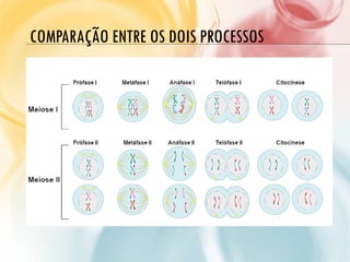 COMPARAÇÃO ENTRE OS DOIS PROCESSOS
 
