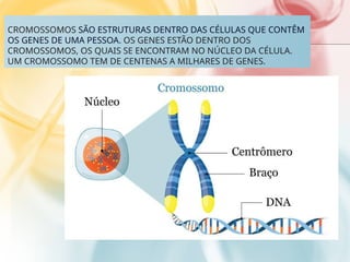 CROMOSSOMOS SÃO ESTRUTURAS DENTRO DAS CÉLULAS QUE CONTÊM
OS GENES DE UMA PESSOA. OS GENES ESTÃO DENTRO DOS
CROMOSSOMOS, OS QUAIS SE ENCONTRAM NO NÚCLEO DA CÉLULA.
UM CROMOSSOMO TEM DE CENTENAS A MILHARES DE GENES.
 