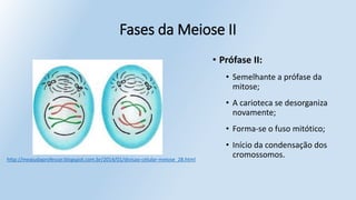• Prófase II:
• Semelhante a prófase da
mitose;
• A carioteca se desorganiza
novamente;
• Forma-se o fuso mitótico;
• Início da condensação dos
cromossomos.
Fases da Meiose II
http://meajudaprofessor.blogspot.com.br/2014/01/divisao-celular-meiose_28.html
 