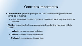 Conceitos Importantes
• Cromossomo: grandes pedaços de DNA condensado (enrolado em
torno de si mesmo.
• Só são visualizados quando duplicados, sendo cada parte do par chamado de
cromátide.
• Ploidia: quantidade de cromossomos de cada tipo que uma célula
possui.
• Haploide: 1 cromossomo de cada tipo.
• Diploide: 2 cromossomos de cada tipo.
• Triploide: 3 cromossomos de cada tipo.
 