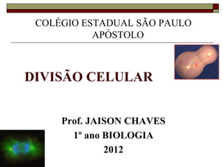 COLÉGIO ESTADUAL SÃO PAULO
           APÓSTOLO



DIVISÃO CELULAR


     Prof. JAISON CHAVES
       1º ano BIOLOGIA
              2012
 