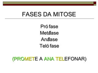 FASES DA MITOSE
         Pró fase
         Metá fase
         Aná fase
         Teló fase

(PROMETE A ANA TELEFONAR)
 
