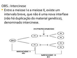 OBS.: Intercinese Entre a meiose I e a meiose II, existe um intervalo breve, que não é uma nova interfase (não há duplicação do material genético), denominado intercinese.  