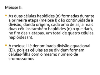 Meiose II: As duas células haplóides (n) formadas durante a primeira etapa (meiose I) dão continuidade à divisão, dando origem, cada uma delas, a mais duas células também haplóides (n) o que dará, no fim das 2 etapas, um total de quatro células haplóides (n).  A meiose II é denominada divisão equacional (E!), pois as células ao se dividem formam células-filha com o mesmo número de cromossomos  