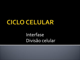 Interfase Divisão celular 