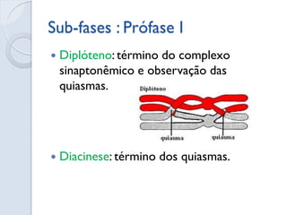 Sub-fases : Prófase I
 Diplóteno: término do complexo
sinaptonêmico e observação das
quiasmas.
 Diacinese: término dos quiasmas.
 