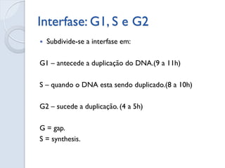 Interfase: G1, S e G2
 Subdivide-se a interfase em:
G1 – antecede a duplicação do DNA.(9 a 11h)
S – quando o DNA esta sendo duplicado.(8 a 10h)
G2 – sucede a duplicação. (4 a 5h)
G = gap.
S = synthesis.
 