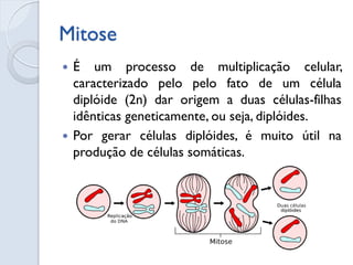 Mitose
 É um processo de multiplicação celular,
caracterizado pelo pelo fato de um célula
diplóide (2n) dar origem a duas células-filhas
idênticas geneticamente, ou seja, diplóides.
 Por gerar células diplóides, é muito útil na
produção de células somáticas.
 