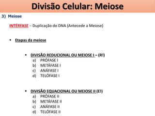 3) Meiose
INTÉRFASE – Duplicação do DNA (Antecede a Meiose)
 Etapas da meiose
 DIVISÃO REDUCIONAL OU MEIOSE I – (R!)
a) PRÓFASE I
b) METÁFASE I
c) ANÁFASE I
d) TELÓFASE I
 DIVISÃO EQUACIONAL OU MEIOSE II (E!)
a) PRÓFASE II
b) METÁFASE II
c) ANÁFASE II
d) TELÓFASE II
Divisão Celular: Meiose
 