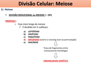 3) Meiose
 DIVISÃO REDUCIONAL ou MEIOSE I – (R!)
PRÓFASE I
o Fase mais longa da meiose
 É dividida em 5 subfases:
a) LEPTÓTENO
b) ZIGÓTENO
c) PAQUÍTENO
d) DIPLÓTENO (ocorre o crossing-over ou permutação)
e) DIACINESE
Troca de fragmentos entre
cromossomos homólogos
VARIABILIDADE GENÉTICA
Divisão Celular: Meiose
 