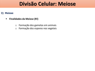 3) Meiose
 Finalidades da Meiose (R!)
o Formação dos gametas em animais
o Formação dos esporos nos vegetais
Divisão Celular: Meiose
 