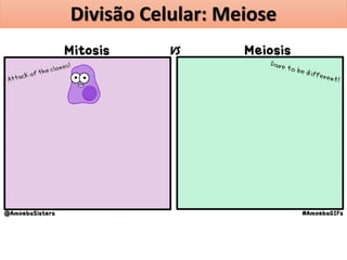 Divisão Celular: Meiose
 
