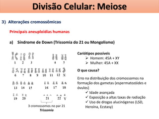 3) Alterações cromossômicas
Principais aneuploidias humanas
a) Síndrome de Down (Trissomia do 21 ou Mongolismo)
3 cromossomos no par 21
Trissomia
Cariótipos possíveis
 Homem: 45A + XY
 Mulher: 45A + XX
O que causa?
Erro na distribuição dos cromossomos na
formação dos gametas (espermatozóides e
óvulos)
 Idade avançada
 Exposição a altas taxas de radiação
 Uso de drogas alucinógenas (LSD,
Heroína, Ecstasy)
Divisão Celular: Meiose
 