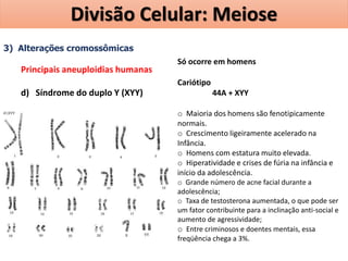 3) Alterações cromossômicas
Principais aneuploidias humanas
d) Síndrome do duplo Y (XYY)
Só ocorre em homens
Cariótipo
44A + XYY
o Maioria dos homens são fenotipicamente
normais.
o Crescimento ligeiramente acelerado na
Infância.
o Homens com estatura muito elevada.
o Hiperatividade e crises de fúria na infância e
início da adolescência.
o Grande número de acne facial durante a
adolescência;
o Taxa de testosterona aumentada, o que pode ser
um fator contribuinte para a inclinação anti-social e
aumento de agressividade;
o Entre criminosos e doentes mentais, essa
freqüência chega a 3%.
Divisão Celular: Meiose
 