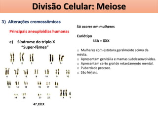 3) Alterações cromossômicas
Principais aneuploidias humanas
e) Síndrome do triplo X
“Super-fêmea”
Só ocorre em mulheres
Cariótipo
44A + XXX
o Mulheres com estatura geralmente acima da
média.
o Apresentam genitália e mamas subdesenvolvidas.
o Apresentam certo gral de retardamento mental.
o Puberdade precoce.
o São férteis.
Divisão Celular: Meiose
 