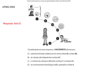INTERFASE QUE PRECEDE A DIVISÃO
Resposta: letra D
UFMG 2004
 