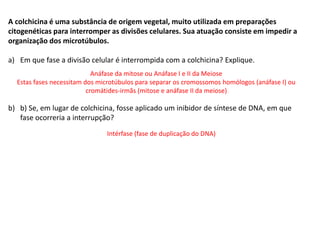 INTERFASE QUE PRECEDE A DIVISÃO
A colchicina é uma substância de origem vegetal, muito utilizada em preparações
citogenéticas para interromper as divisões celulares. Sua atuação consiste em impedir a
organização dos microtúbulos.
a) Em que fase a divisão celular é interrompida com a colchicina? Explique.
b) b) Se, em lugar de colchicina, fosse aplicado um inibidor de síntese de DNA, em que
fase ocorreria a interrupção?
Anáfase da mitose ou Anáfase I e II da Meiose
Estas fases necessitam dos microtúbulos para separar os cromossomos homólogos (anáfase I) ou
cromátides-irmãs (mitose e anáfase II da meiose)
Intérfase (fase de duplicação do DNA)
 