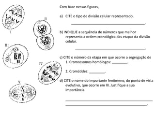 INTERFASE QUE PRECEDE A DIVISÃO
Com base nessas figuras,
a) CITE o tipo de divisão celular representado.
______________________________________.
b) INDIQUE a sequência de números que melhor
representa a ordem cronológica das etapas da divisão
celular.
____________________________________.
c) CITE o número da etapa em que ocorre a segregação de
1. Cromossomos homólogos: ________.
2. Cromátides: ________.
d) CITE o nome do importante fenômeno, do ponto de vista
evolutivo, que ocorre em III. Justifique a sua
importância.
_____________________________________________
__________________________________________.
 