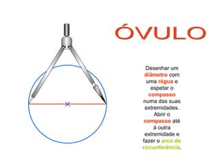 ÓVULO Desenhar um  diâmetro  com uma  régua  e espetar o  compasso  numa das suas extremidades. Abrir o  compasso  até à outra extremidade e fazer o  arco de circunferência . 