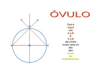 ÓVULO Com a régua une A  a  B E C  a  B até a linha cruzar cada um dos dois arcos de circunferência . B A C 1 2 