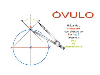 ÓVULO Utilizando o compasso com abertura de  B  a  1  ou  2 desenha o arco de circunferência . B A C 1 2 