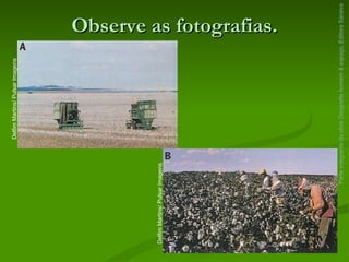 Observe as fotografias. Parte integrante da obra  Geografia homem & espaço , Editora Saraiva Delfim Martins/ Pulsar Imagens Delfim Martins/ Pulsar Imagens 