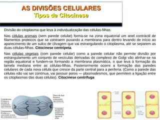 AS DIVISÕES CELULARESAS DIVISÕES CELULARES
Tipos de CitocineseTipos de Citocinese
Divisão do citoplasma que leva à individualização das células-filhas.
Nas células animais (sem parede celular) forma-se na zona equatorial um anel contráctil de
filamentos proteicos que se contraem puxando a membrana para dentro levando de início ao
aparecimento de um sulco de clivagem que vai estrangulando o citoplasma, até se separem as
duas células-filhas. Citocinese centrípeta.
Nas células vegetais (com parede celular) como a parede celular não permite divisão por
estrangulamento um conjunto de vesículas derivadas do complexo de Golgi vão alinhar-se na
região equatorial e fundem-se formando a membrana plasmática, o que leva à formação da
lamela mediana entre as células-filhas. Posteriormente ocorre a formação das paredes
celulares de cada nova célula que cresce da parte central para a periferia. (Como a parede das
células não vai ser contínua, vai possuir poros — plasmodesmos, que permitem a ligação entre
os citoplasmas das duas células). Citocinese centrífuga
 