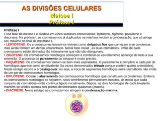 AS DIVISÕES CELULARESAS DIVISÕES CELULARES
Meiose IMeiose I
Prófase IPrófase I
Prófase I
Essa fase da meiose I é dividida em cinco subfases consecutivas: leptóteno, zigóteno, paquíteno e
diacinese. Na prófase I, os cromossomos já duplicados na interfase iniciam a condensação, que só atinge
seu máximo no final da metáfase I.
• LEPTÓTENO: Os cromossomos tornam-se visíveis como delgados fios que começam a se condensar,
mas ainda formam um denso emaranhado. Nesta fase inicial , as duas cromátides- irmãs de cada
cromossomo estão alinhadas tão intimamente que não são ditinguíveis.
• ZIGÓTENO: Os cromossomos homólogos começam a combinar-se estreitamente ao longo de toda a sua
extensão. O processo de pareamento ou sinapse é muito preciso.
• PAQUÍTENO: Os cromossomos tornam-se bem mais espiralados. O pareamento é completo e cada par de
homólogos aparece como um bivalente (às vezes denominados tétrade porque contém quatro cromátides).
Neste estágio ocorre o crossing-over, ou seja, a troca de segmentos homólogos entre cromátides não irmãs
de um par de cromossomos homólogos.
• DIPLÓTENO: Ocorre o afastamento dos cromossomos homólogos que constituem os bivalentes. Embora
os cromossomos homólogos se separem, seus centrômeros permanecem intactos, de modo que cada
conjunto de cromátides-irmãs continua ligado inicialmente. Depois, os dois homólogos de cada bivalente
mantêm-se unidos apenas nos pontos denominados quiasmas (cruzes).
• DIACINÉSE: Neste estágio os cromossomos atingem a condensação máxima.
 
