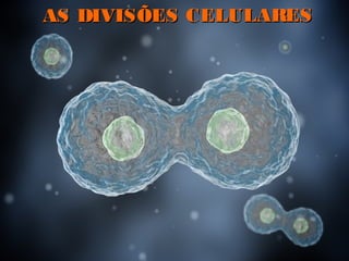 AS DIVISÕES CELULARESAS DIVISÕES CELULARES
 