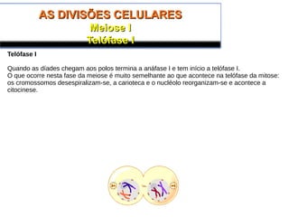 AS DIVISÕES CELULARESAS DIVISÕES CELULARES
Meiose IMeiose I
Telófase ITelófase I
Telófase I
Quando as díades chegam aos polos termina a anáfase I e tem início a telófase I.
O que ocorre nesta fase da meiose é muito semelhante ao que acontece na telófase da mitose:
os cromossomos desespiralizam-se, a carioteca e o nucléolo reorganizam-se e acontece a
citocinese.
 