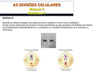 AS DIVISÕES CELULARESAS DIVISÕES CELULARES
Meiose IIMeiose II
Metáfase IIMetáfase II
Metáfase II
Quando as díades chegam aos polos termina a anáfase I e tem início a telófase I.
O que ocorre nesta fase da meiose é muito semelhante ao que acontece na telófase da mitose:
os cromossomos desespiralizam-se, a carioteca e o nucléolo reorganizam-se e acontece a
citocinese.
 