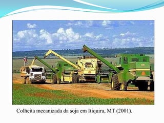 Colheita mecanizada da soja em Itiquira, MT (2001).
 