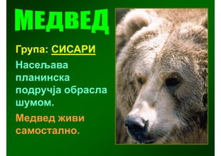 Група: СИСАРИ
Насељава
планинска
подручја обрасла
шумом.
Медвед живи
самостално.
 