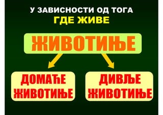 У ЗАВИСНОСТИ ОД ТОГА
    ГДЕ ЖИВЕ
 