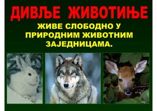 ЖИВЕ СЛОБОДНО У
ПРИРОДНИМ ЖИВОТНИМ
    ЗАЈЕДНИЦАМА.
 