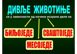 се у зависности од начина исхране деле на
 