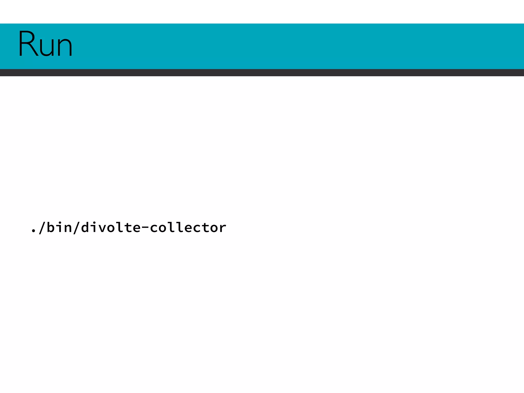 Run 
./bin/divolte-collector 
 
