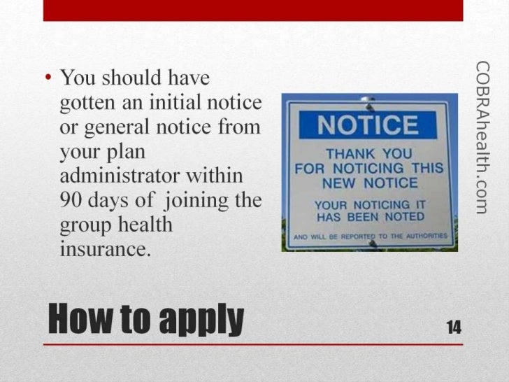 Divorce COBRA planning after being dropped from your