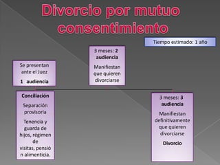 Se presentan
ante el Juez
1 audiencia
Conciliación
Separación
provisoria
Tenencia y
guarda de
hijos, régimen
de
visitas, pensió
n alimenticia.
3 meses: 2
audiencia
Manifiestan
que quieren
divorciarse
3 meses: 3
audiencia
Manifiestan
definitivamente
que quieren
divorciarse
Divorcio
Tiempo estimado: 1 año
 