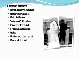Otras causas son: Instituciones Sociales Integración Social Rol de Genero Valores Culturales Divorcio Parental Presencia de niños Edad Embarazo pre marital Raza, etnicidad 
