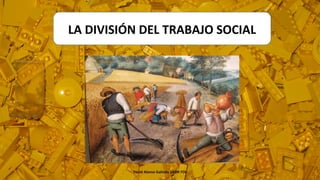 LA DIVISIÓN DEL TRABAJO SOCIAL
David Alonso Galindo 1ASIR FOL
 